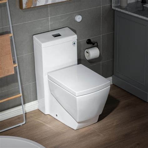 WOODBRIDGE TAOZI 1 Piece 1 1 GPF 1 6 GPF High Efficiency Dual Flush