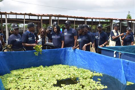 FAO CÔTE D IVOIRE on Twitter IYAFA2022 programme FISH4ACP de la