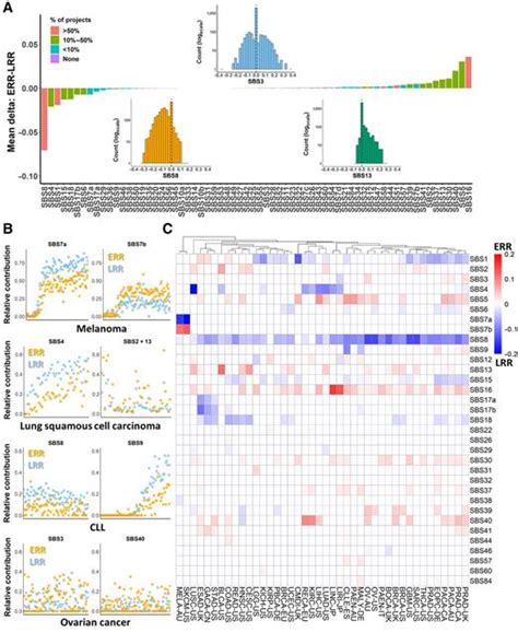 Cancer Mutational Processes Vary In Their Association With Replication