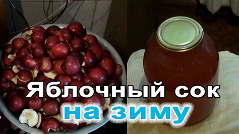 Как приготовить яблочный сок на зиму. Сок из соковыжималки. Сделай сам ...