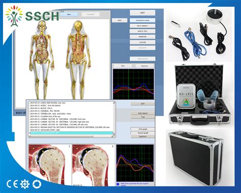 Bioresonance Therapy Health Analyzer Machine Quantum Bio Feedback