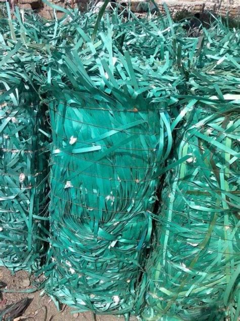 Grinded Green Pet Strap Scrap At Rs 43 Kg In Kanpur ID 27422104848