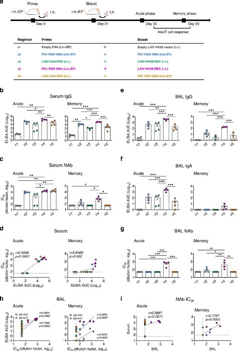 Nasal Prevention Of Sars Cov 2 Infection By Intranasal Influenza Based Boost Vaccination In