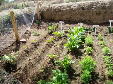 Hoy 17 de Mayo Se Celebra el Día Mundial del Horticultor