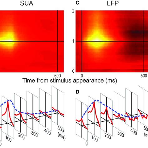 Spatio Temporal Activity Plot Of Sua And Lfp Average Spatio Temporal