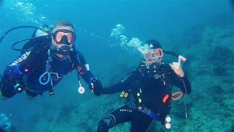 Arkipelago Divers Puerto Galera Lohnt Es Sich Mit Fotos