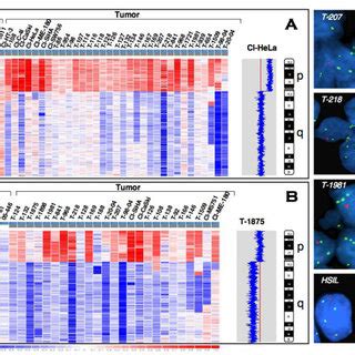 Identification Of Chromosome P Genomic Alterations In Cervical