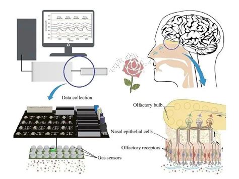 基于气体传感器阵列的电子鼻系统数据中心 中国电子商会