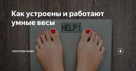 Как устроены и работают умные весы | Электрик Инфо | Дзен