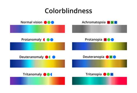 Hoedeman Optical - Optical Opinion