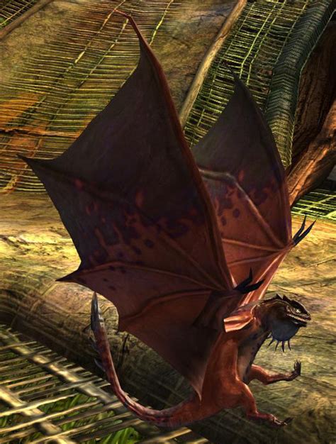 Hungrige Fledermaus Guild Wars 2 Wiki