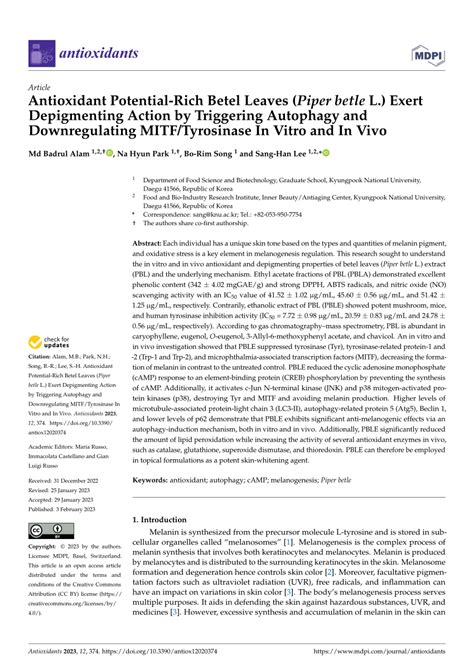 Pdf Antioxidant Potential Rich Betel Leaves Piper Betle L Exert