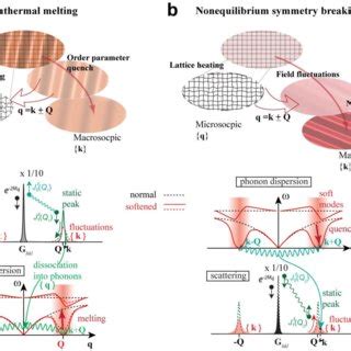 Nonequilibrium Phonon Dynamics And Fluctuation Waves In The CDW System