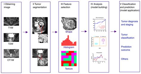 Radiomics Workflow I Obtaining Medical Imaging Data Ii Image