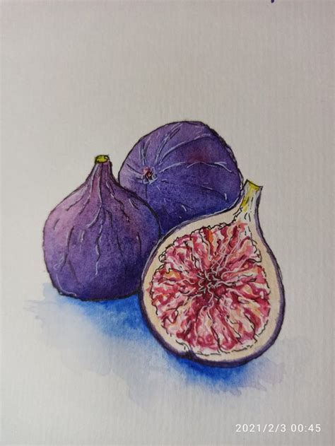 Pin By Тais Ku On My Art Artaya Fruits Drawing Watercolor Sketch