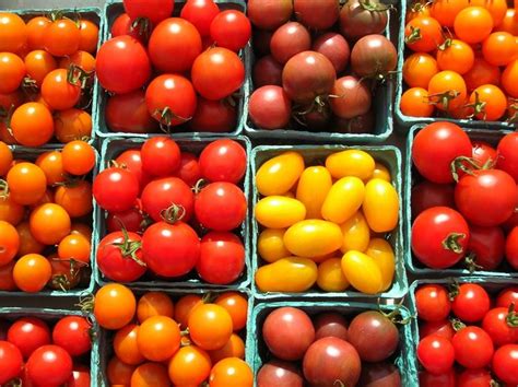 soiuri de rosii cele mai bune  cele mai gustoase agricultura