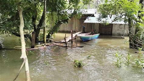 Banjir Jumlah Mangsa Di Pasir Mas Terus Menurun Kosmo Digital