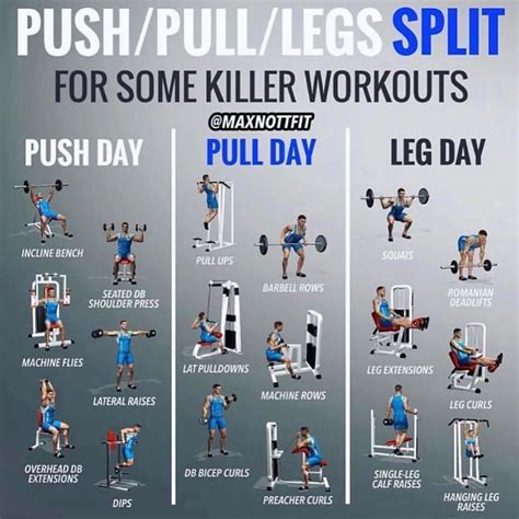 2 Pushpull Workout Plans Create A Full Balanced Body With These