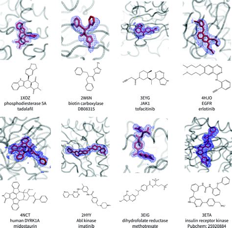 What Is A Ligand