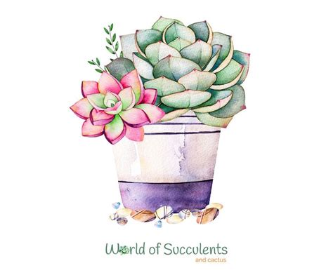 Printable Succulent Art Printable Word Searches