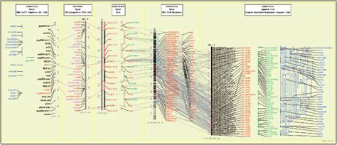 Many Of The Key Concepts Of Cmap Are Shown Five Maps Of Varying Types