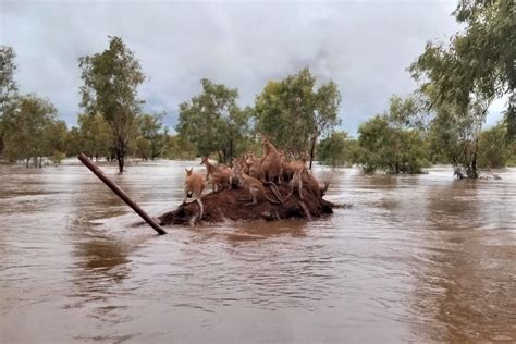 WA floods 2023: A look at the once-in-a-century flood.