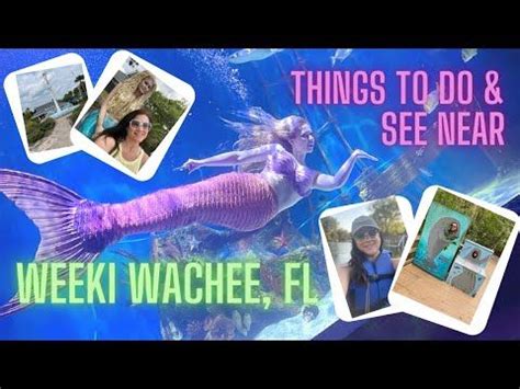 Interview With A Mermaid Weeki Wachee Crystal River FL