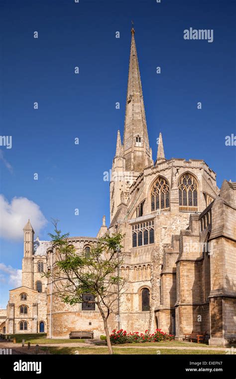 Norwich Cathedral Norwich Norfolk England Stock Photo Alamy