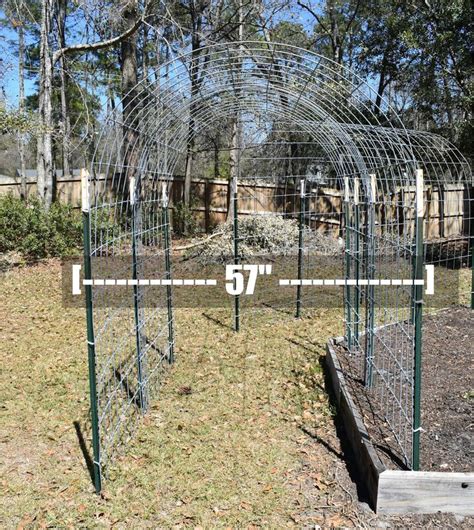 Diy Cattle Panel Arbor Trellis Diy Garden Trellis Garden Trellis Arbors Trellis