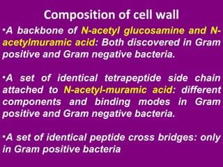 Morphology Of Bacteriology Ppt