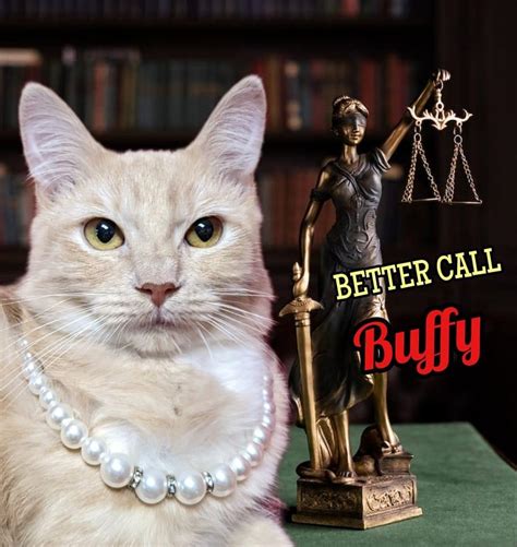 Buffy Team Cat Rescue