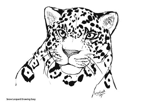 Easy Jaguar Drawing at PaintingValley.com | Explore collection of Easy ...