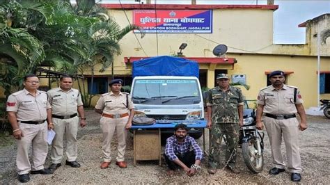 Accused Arrested Who Stole A Temple And Small Elephant In Jagdalpur