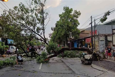 Hujan Angin Landa Kota Solo Belasan Pohon Tumbang