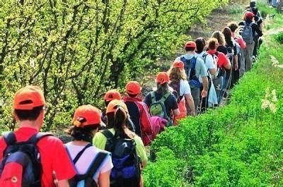 Consejos Para Excursiones Escolares