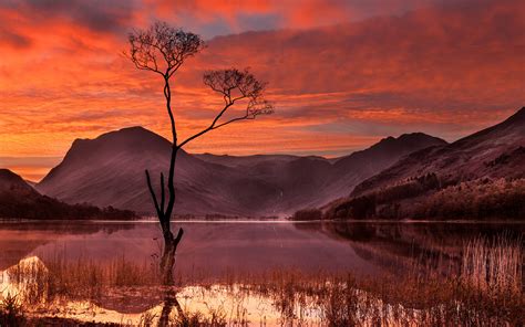 Wallpaper Trees Landscape Sunset Hill Lake Nature Reflection