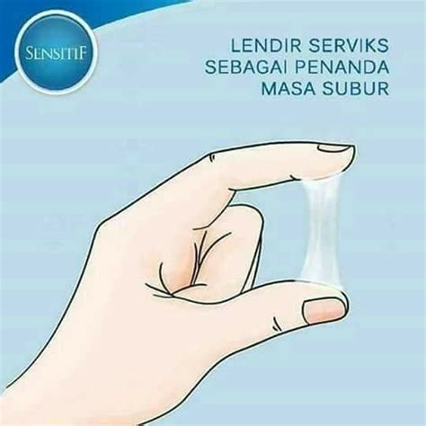 Mengamati Lendir Serviks Penanda Masa Subur