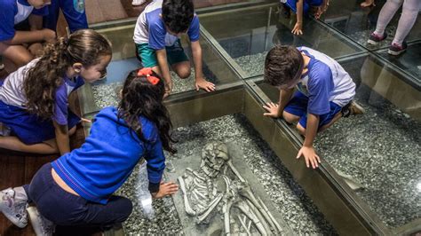 Entre Conchas Modos De Vida Nos Sambaquis MAE Museu De Arqueologia