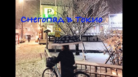 Япония. Снегопад в Токио - YouTube