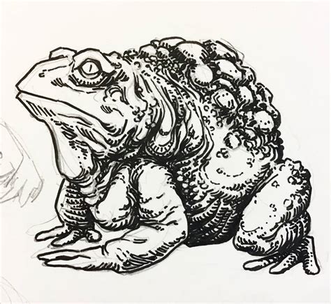 Monster (toad) by brynnmhage on DeviantArt