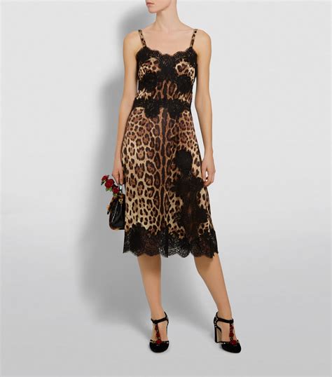 Leopard Print Lace Dress Atelier Yuwa Ciao Jp