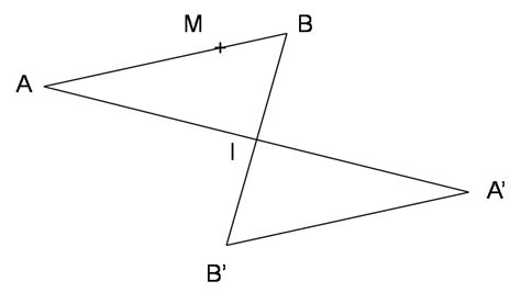 Devoir Maison Maths 5ème Symétrie Centrale Ventana Blog