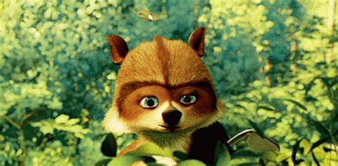 Over The Hedge Rj GIF - OverTheHedge Rj Raccoon - Discover & Share GIFs