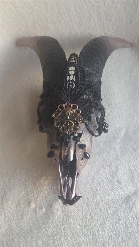 Real Gothic Vintage Goat Skull With Full Jawbone Etsy Uk Goat Skull