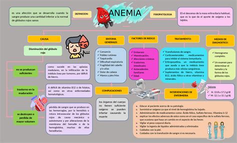 Fisiopatologia De La Anemia Apuntes De Fisiopatología Docsity