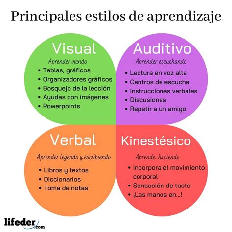 Mapa Mental De Los Estilos De Aprendizaje Humanos Porn Sex Picture