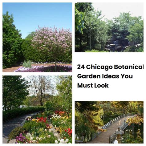 24 Chicago Botanical Garden Ideas You Must Look Sharonsable