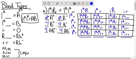 SOLVED Activity 3 1 Examining Blood Type Inheritance Using A Punnett