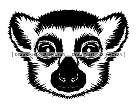 Lemur Files For Cricut Lemur Cut Files For Silhouette Lemur Svg Lemur