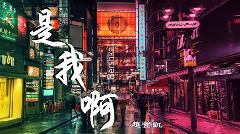 趙登凱 是我啊demo版【高音質動態歌詞lyrics】♫《那是我啊我天生這樣這生命又怎樣》 Youtube Music